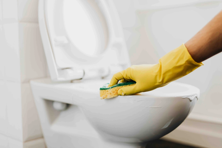 How to Clean Your Bathroom in 5 Steps