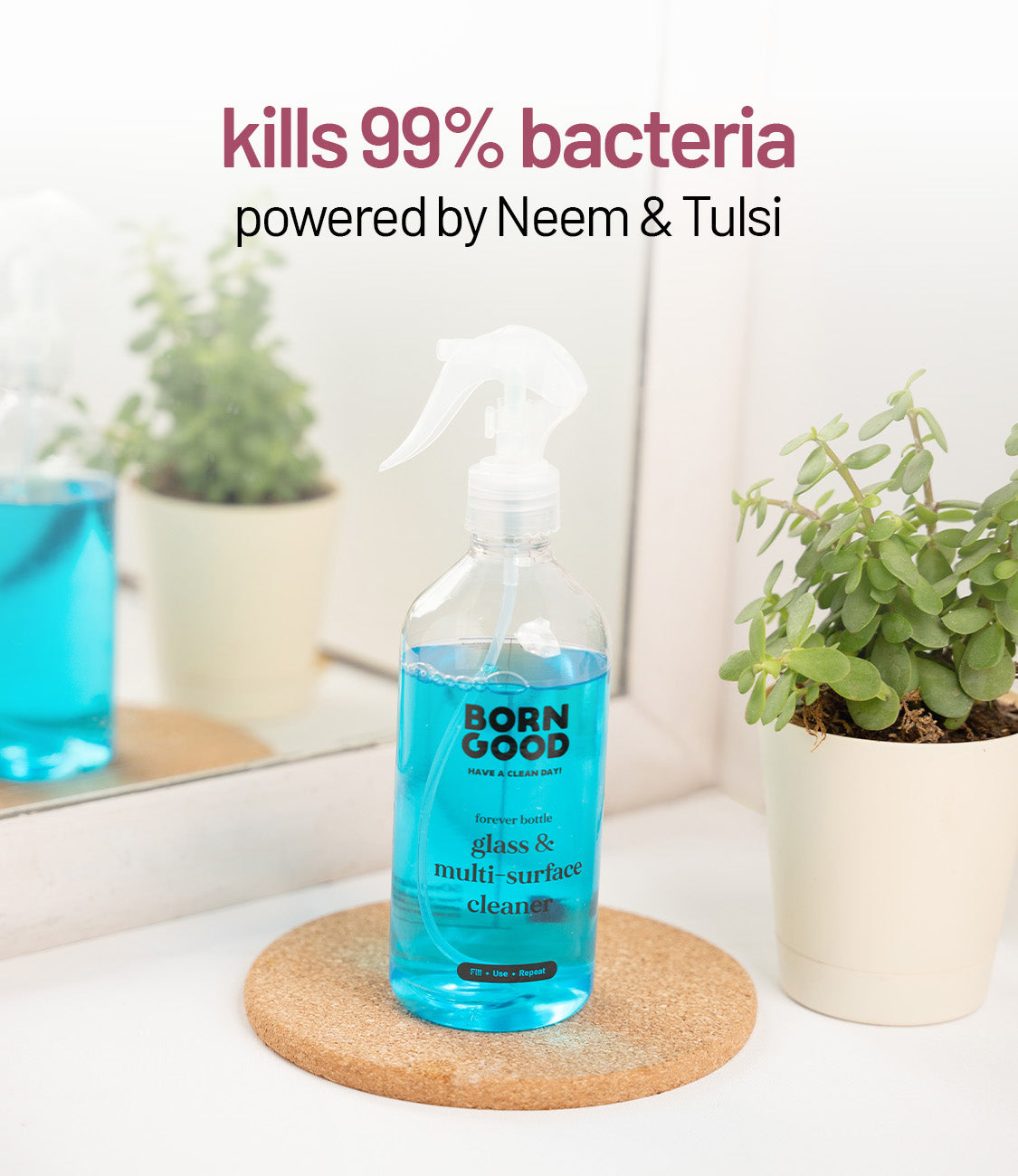 Glass And Multi-Surface Cleaner Concentrate